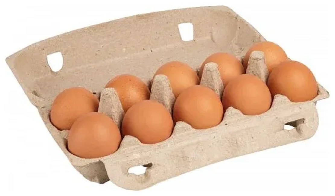 Яйцо куриное Отборное  Соломон  (10 шт) шт пластик - интернет-магазин Близнецы