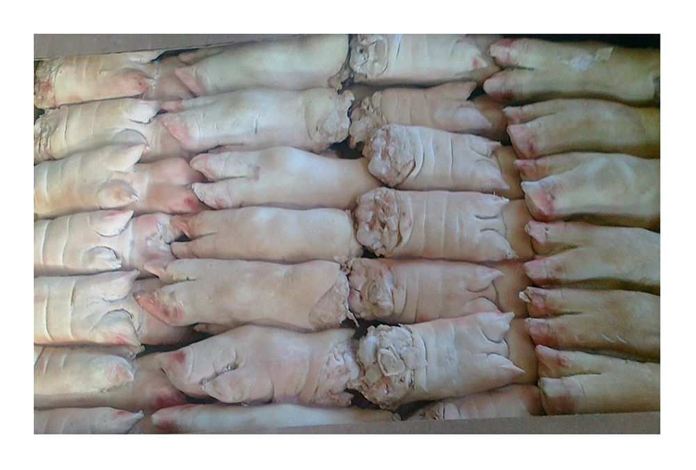 Ножки свиные с м  Россия  кг - интернет-магазин Близнецы