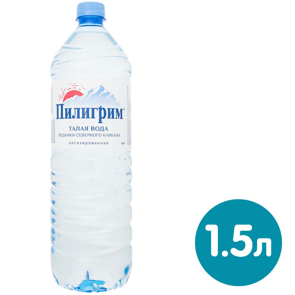 Мин. вода Пилигрим н газ бут 1.5 л - интернет-магазин Близнецы