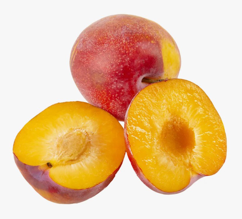 Слива красная  Иран  - интернет-магазин Близнецы