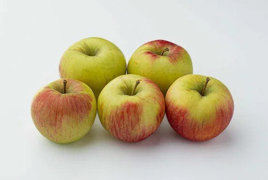 Яблоки Медовый Хруст  Россия  - интернет-магазин Близнецы