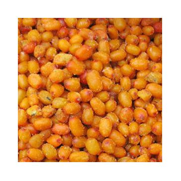 Морож. ягоды Облепиха  Китай   - интернет-магазин Близнецы