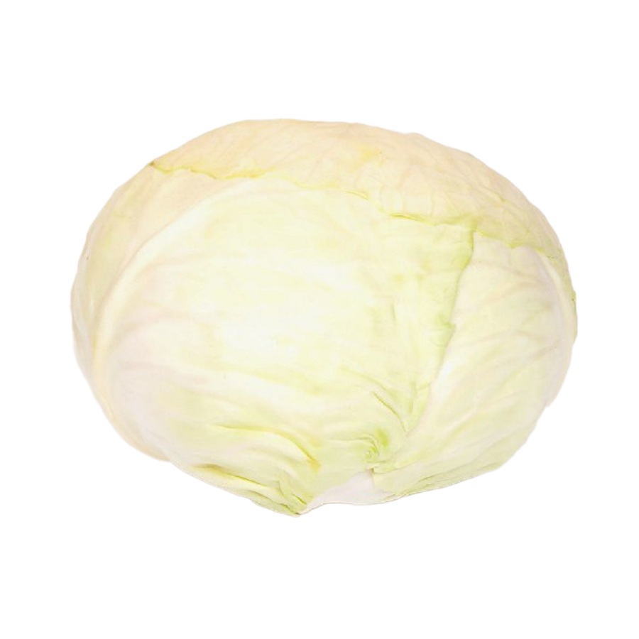 Капуста Слава (для засолки )  Россия   - интернет-магазин Близнецы