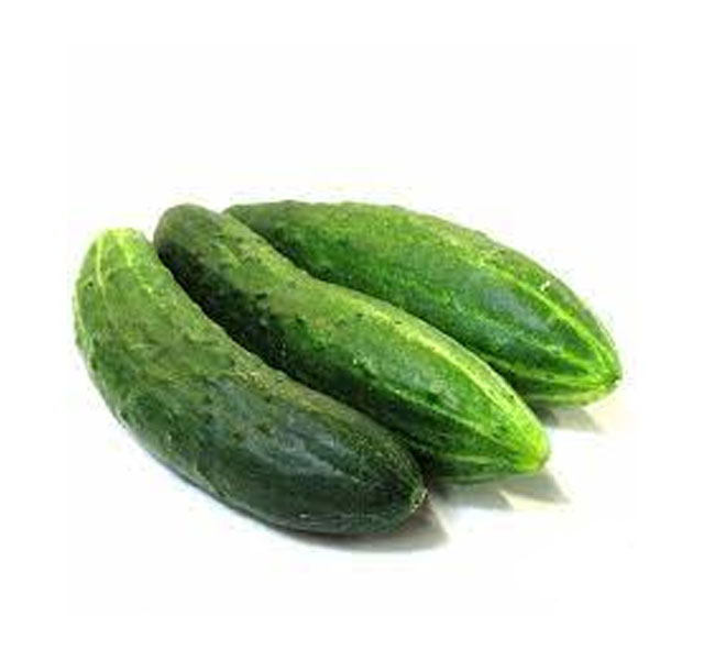 Огурцы Эстафета тепличные  Россия  - интернет-магазин Близнецы