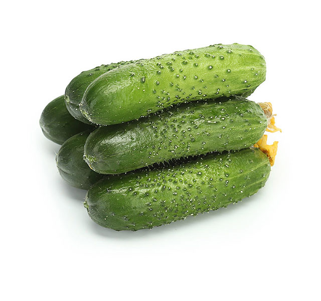 Огурцы Миринда тепличные  Россия   - интернет-магазин Близнецы