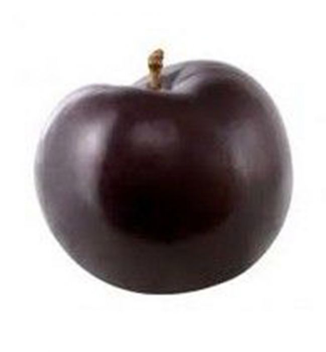 Слива черная  ЮАР  - интернет-магазин Близнецы