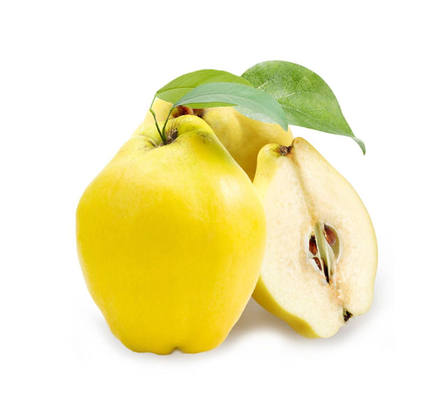 Айва  Турция   - интернет-магазин Близнецы