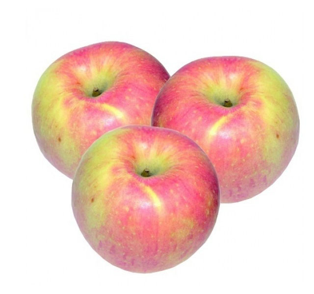 Яблоки Дискавери  Россия   - интернет-магазин Близнецы